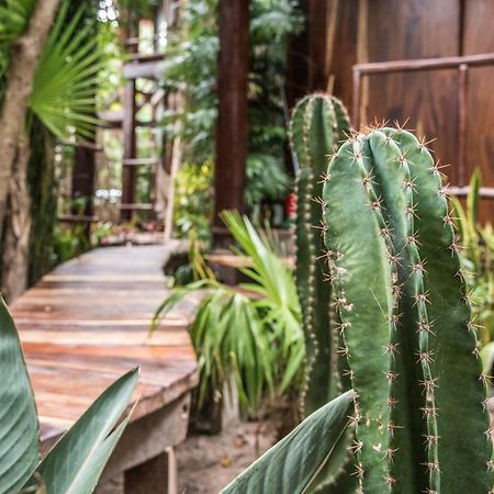 Origen Tulum 호텔 외부 사진